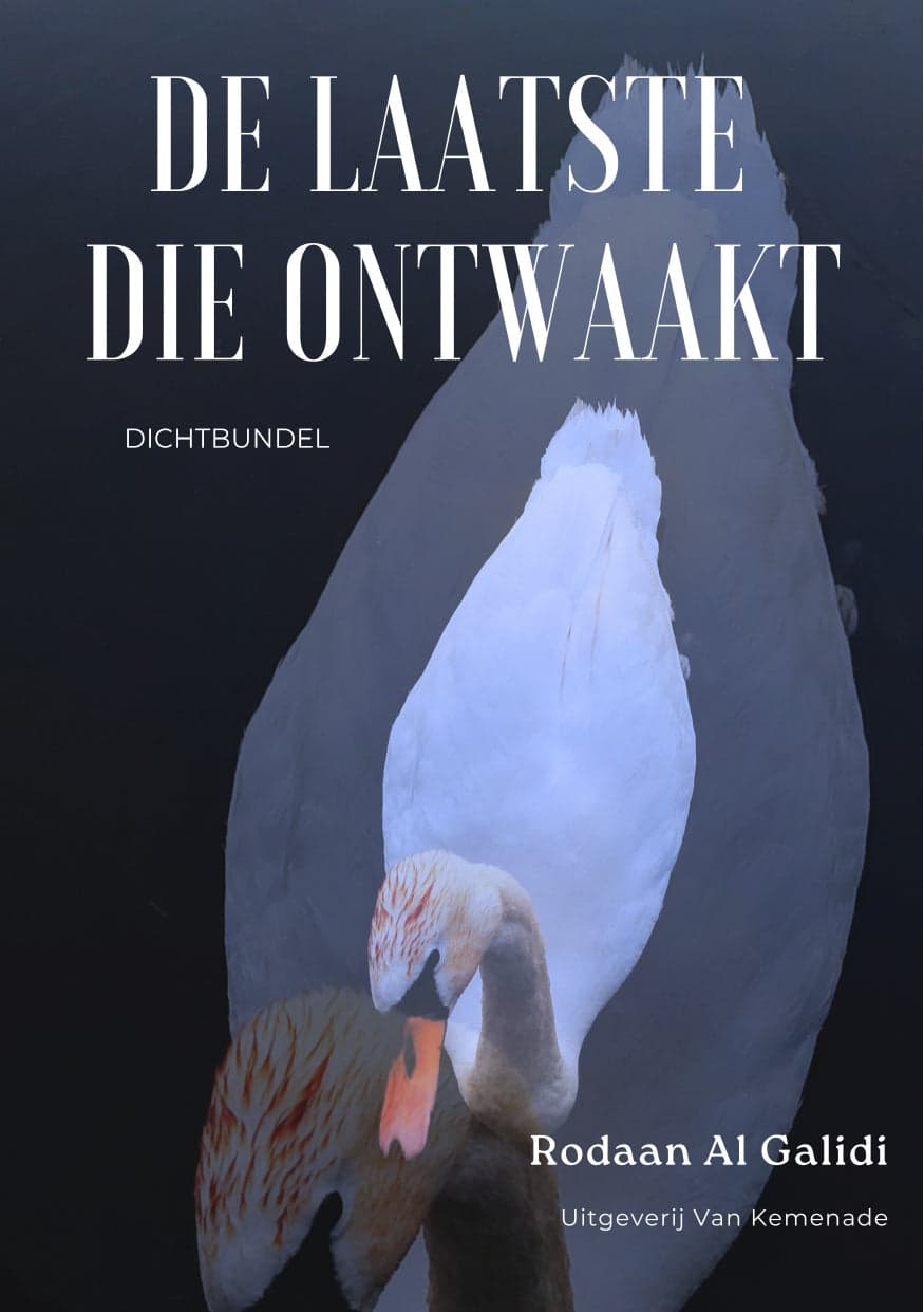 Omslag van De laatste die ontwaakt